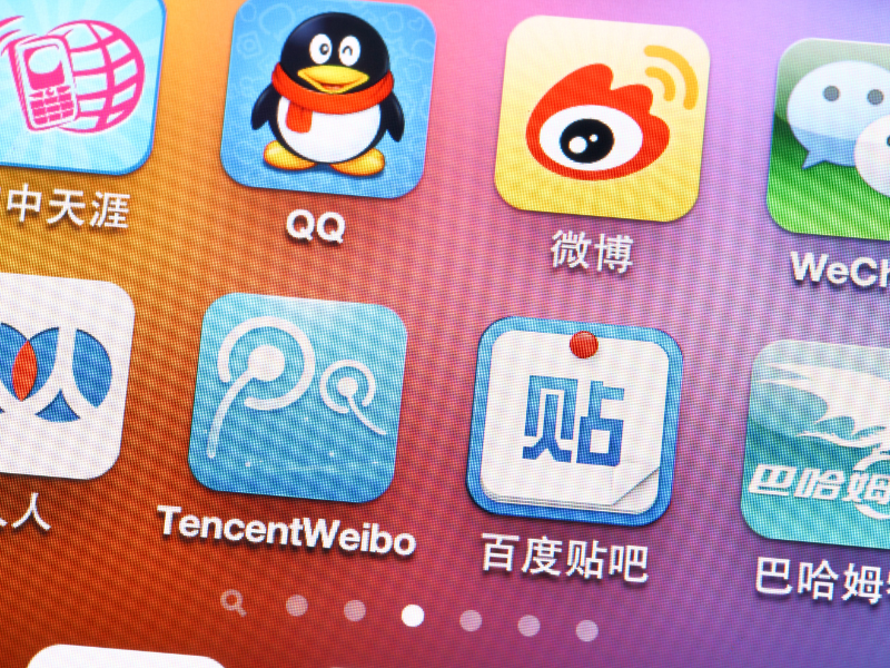 Chinese Social Networks